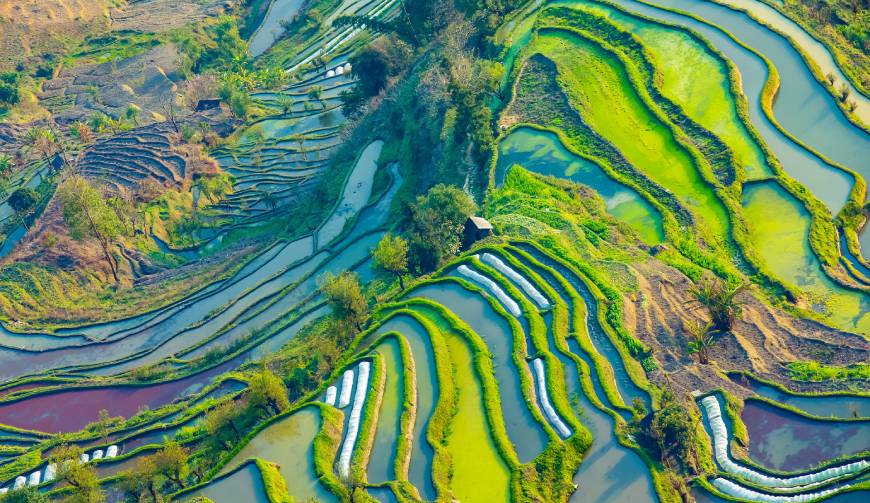 宝妈必备神器：陈巴尔虎旗产品视频拍摄轻松育儿好帮手