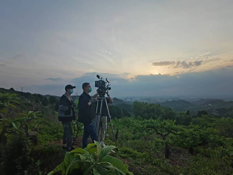 创意破圈！陈巴尔虎旗电商产品宣传视频用故事化叙事引爆流量