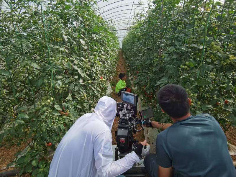 陈巴尔虎旗产品宣传视频拍摄公司进阶指南，助力品牌抢占传播高地